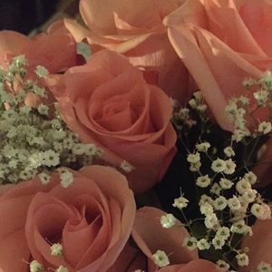 Meet your Posher, Claire